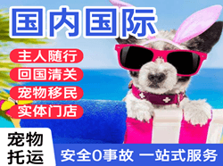 秦皇岛机场空运国际宠物托运 【国